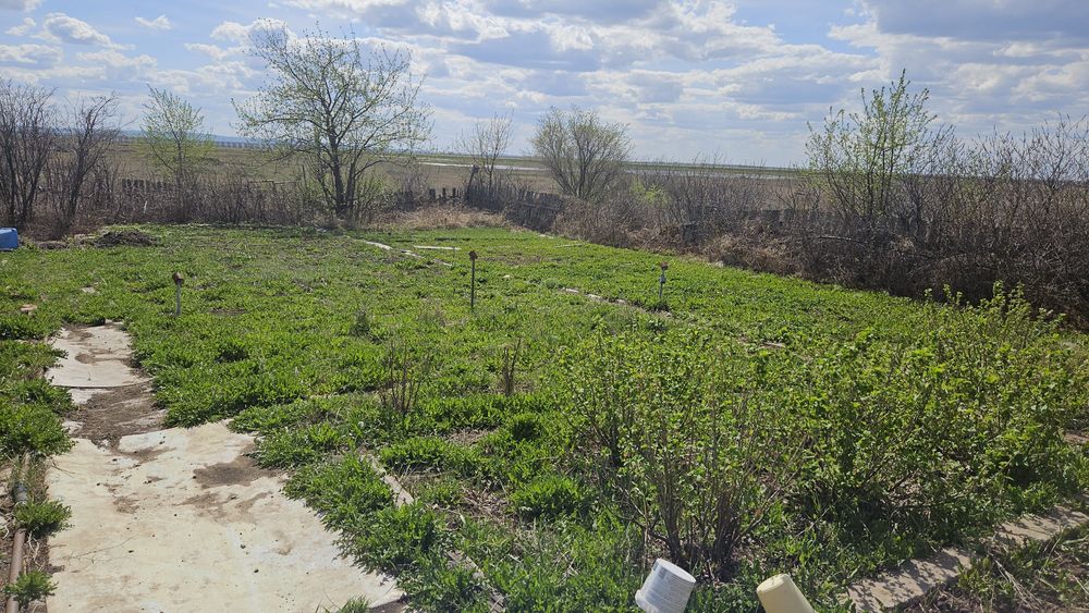 Продаю дачу ДО Золотая осень