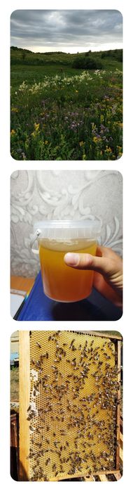 Горный мёд  разнотравье!