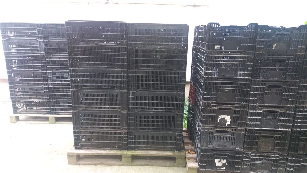 LADĂ plastic 10 lei