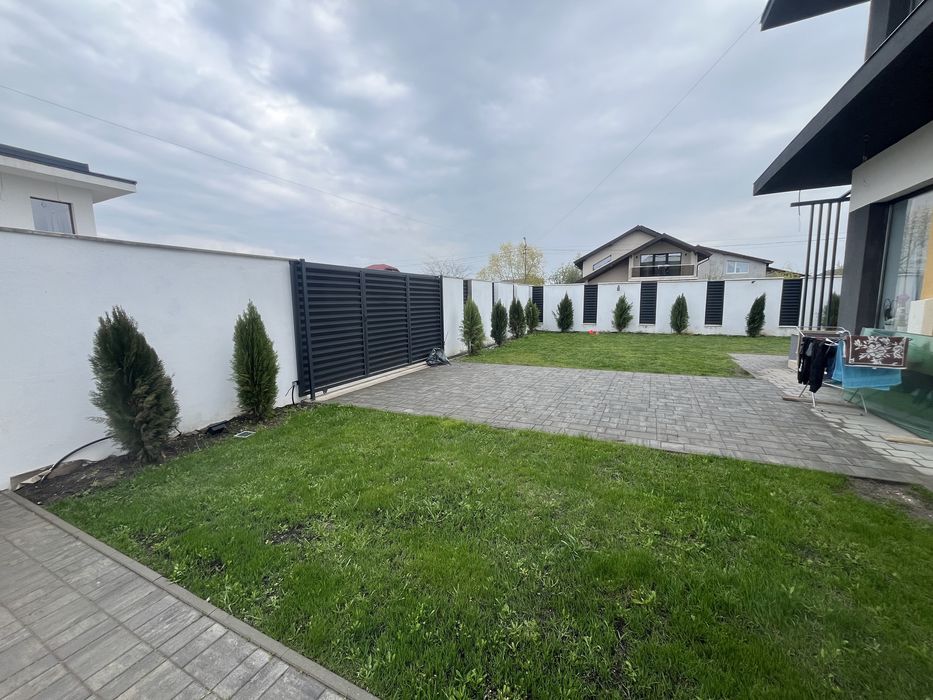 Vand Tuia 180 cm 22 bucati 60 lei/buc