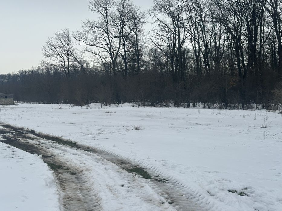 Teren de vanzare Pantelimon-Cernica