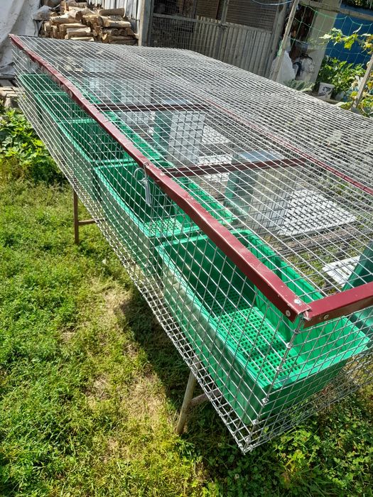 Cusca iepuri pt fatare si tineret