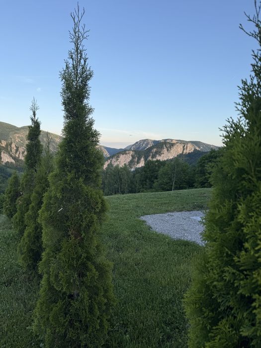 Cabana  Apuseni_Valley  de inchiriat cu jacuzzi ( TransApuseana)