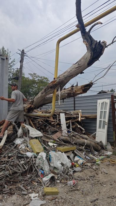 Отдам дрова Бесплатно