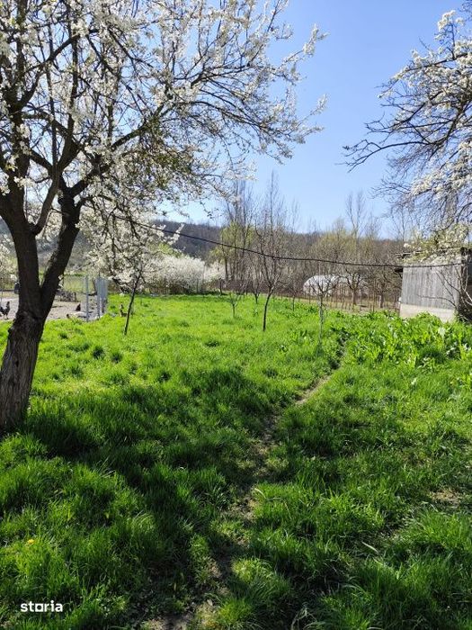 Casa renovata complet, 1800 mp teren, zona linistita in Cornita
