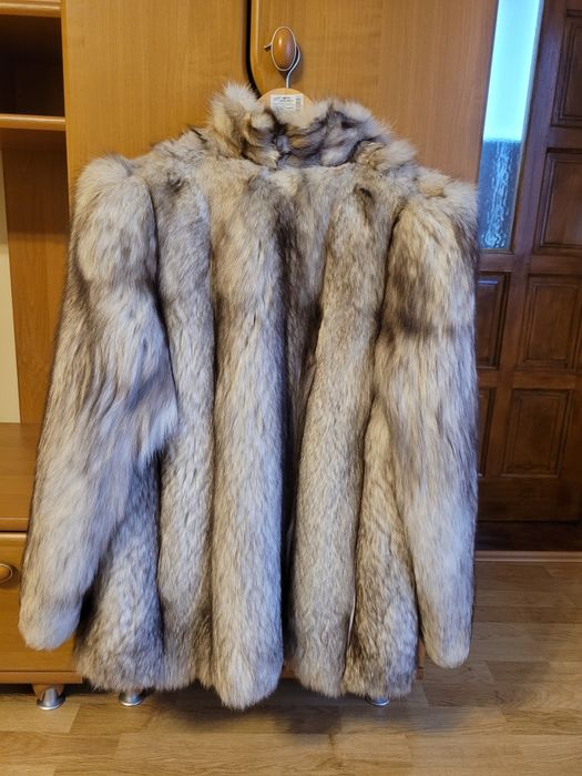 Haina blana vulpe argintie