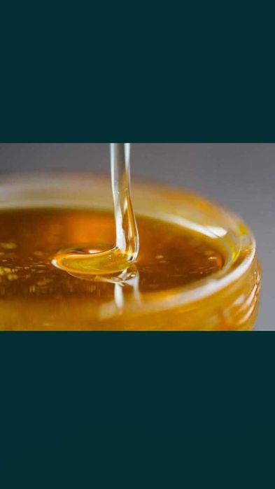 Мед натуральный разных сортов