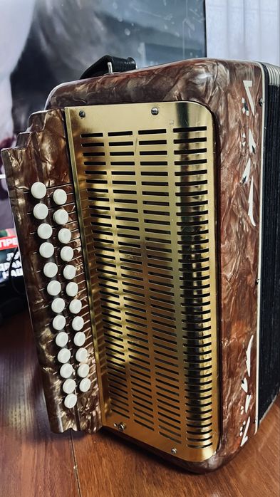 Гармошка с футляром.