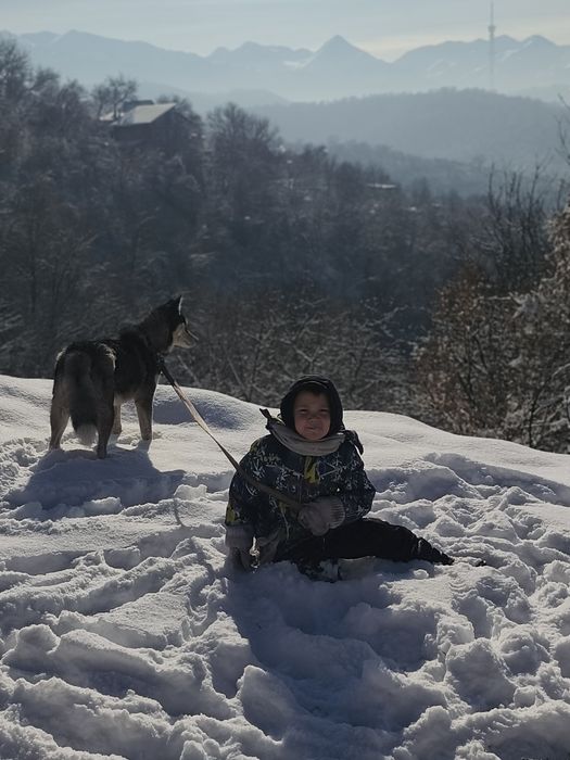 Хаска кобель очень послушный