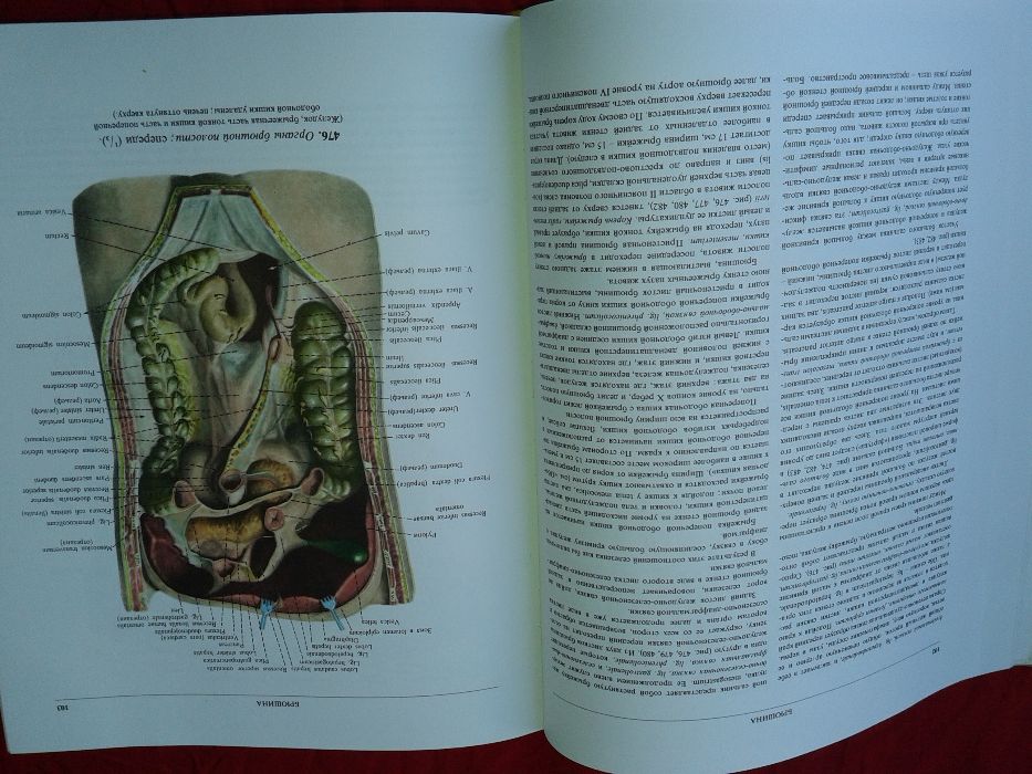 Атласи по анатомия на човека Синелников атлас по медицина стоматология