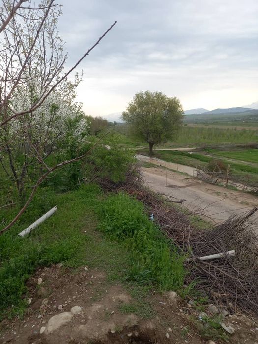 Участка сотилади 8 сотик