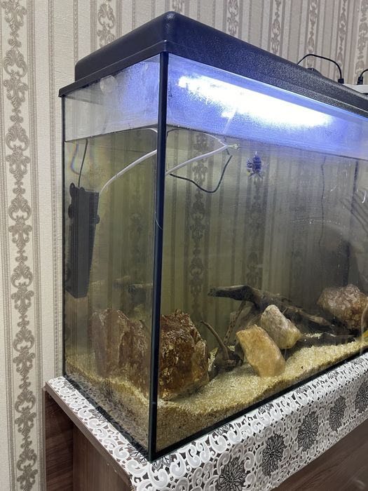 Продам аквариум большого размера.