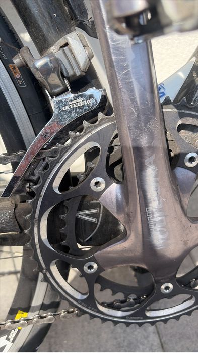 Cursiera carbon.