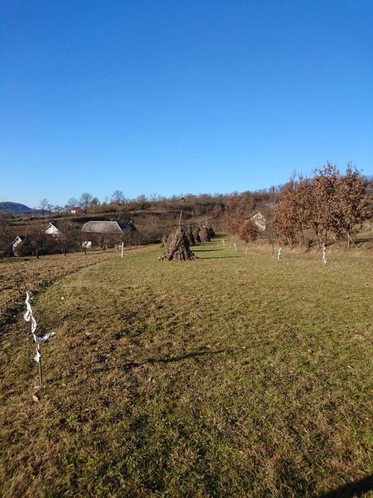 Teren de vinzare Nasaud