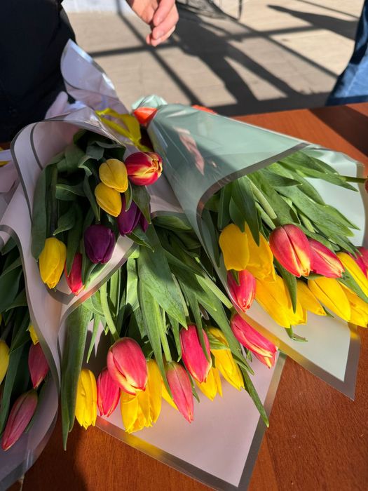 Тюльпаны ОПТОМ Кокшетау 400тг