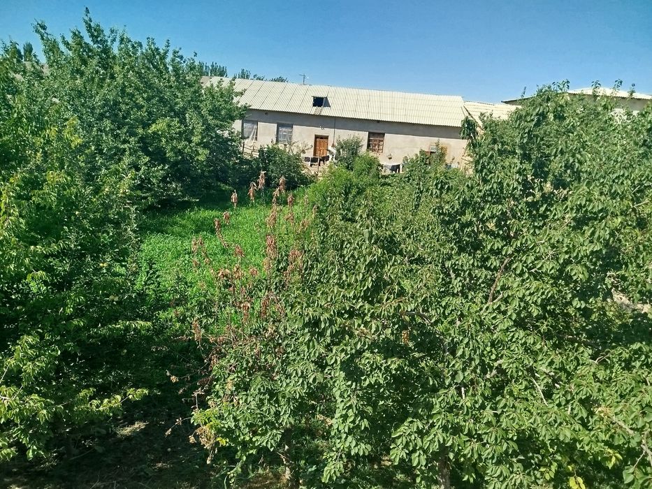 Ок олтин Чапаев 1380 КВ метр