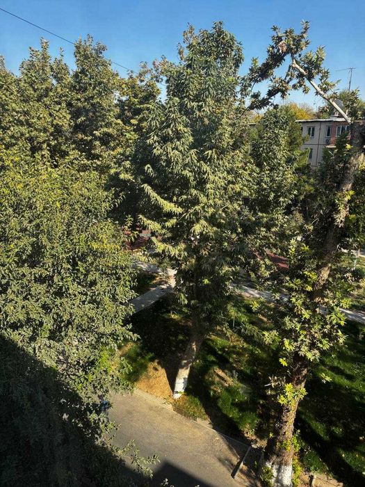 Продается пустая 3х комнатная квартира - Чиланзар 17, круг Аль-Хорезми