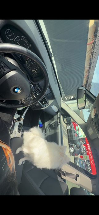 bmw x3 xdrive 2014