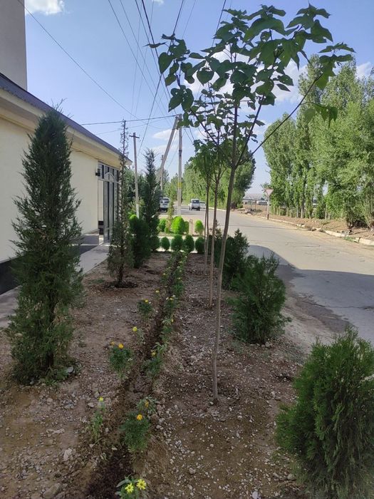 Келес куктерак 8хонали уйимни сотаман