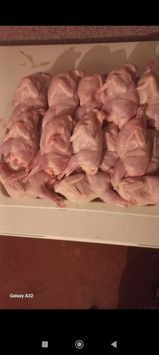 Бедана гўшти бор