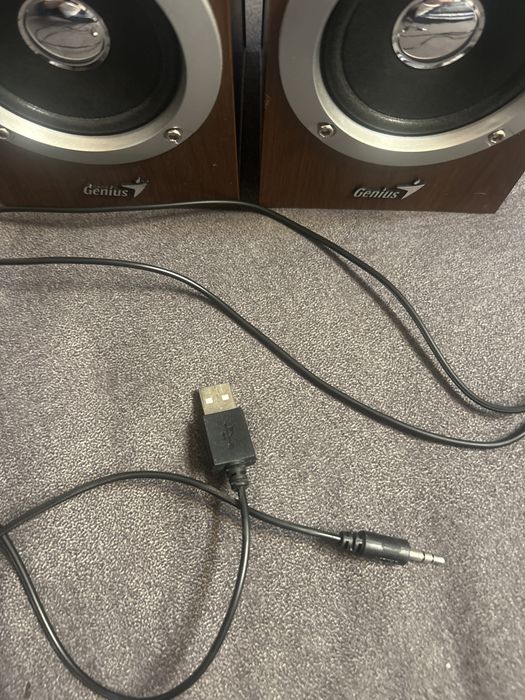 Boxe Genius SP-HF280 2.0 Wood