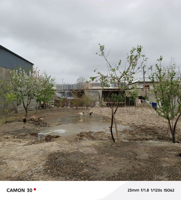 Srochna Hovli sotiladi