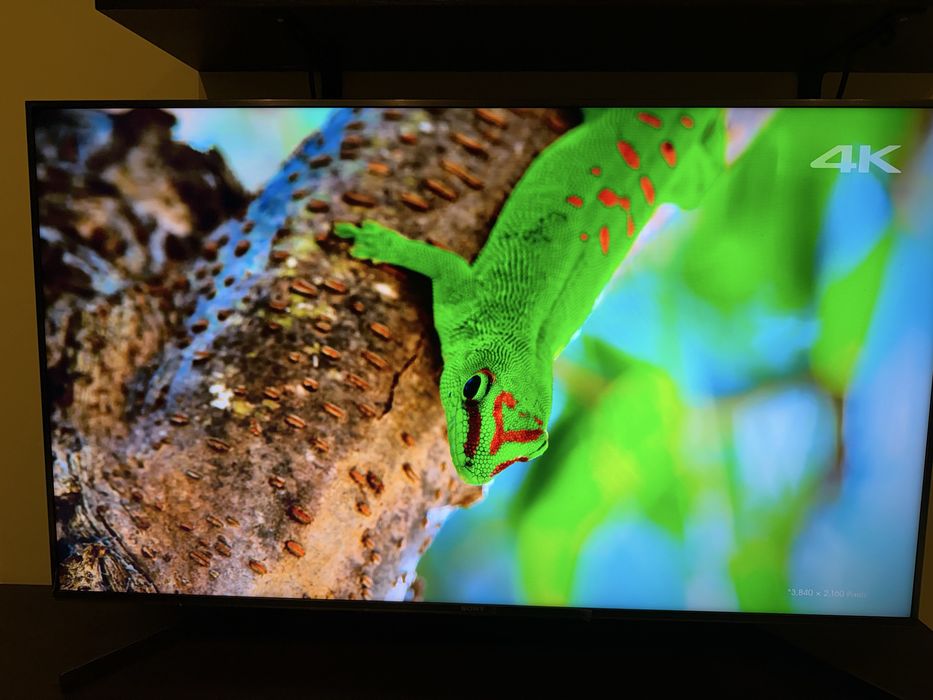 Sony KD-49XH9505  49inch/123,2см