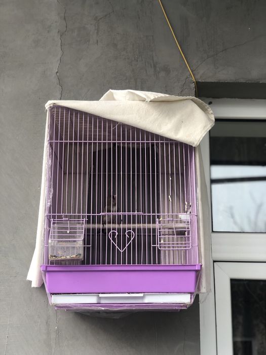 Сава 100% сайраб турган кирган