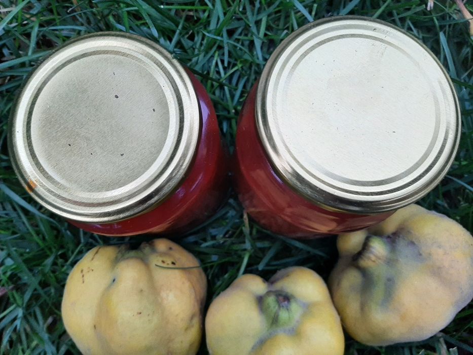 Dulceață gutui naturala