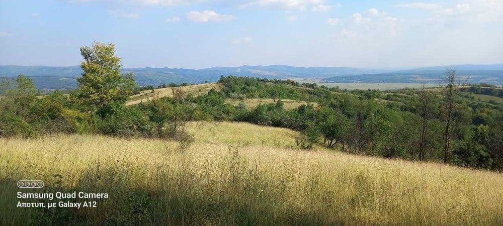 Teren extravilan