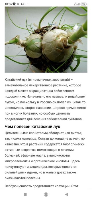 Продам недорого .