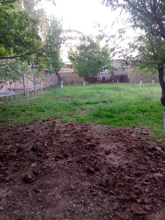 Kokterak avtadrom kochada quruq yer sotiladi.