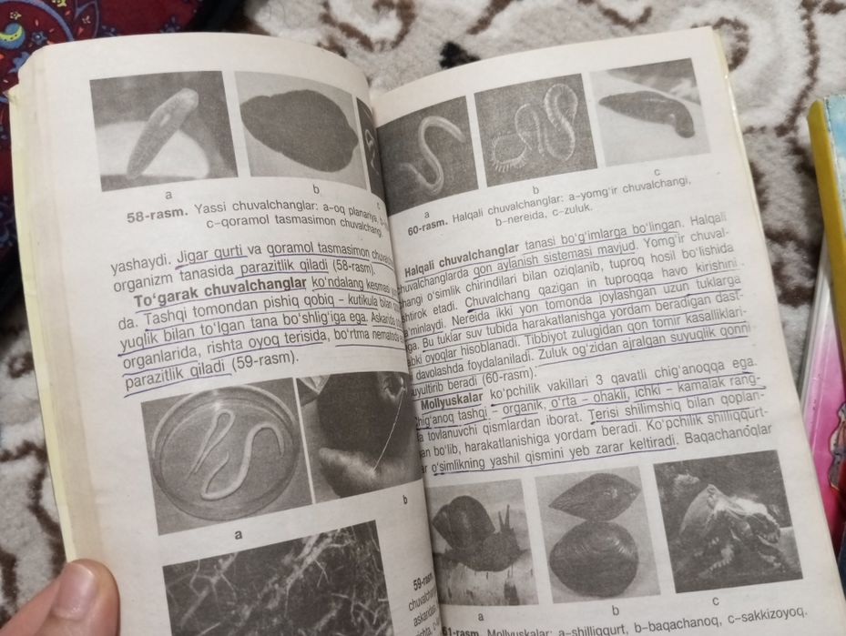 Kitob kerak boʻlsa bemalol yozishingiz mumkin