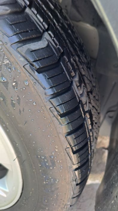 Женра 2019 автомат