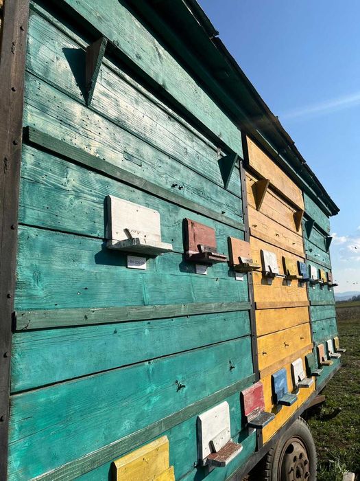 Vând Vagon Apicol Înmatriculat cu 37 de lăzi + 8 familii de albine