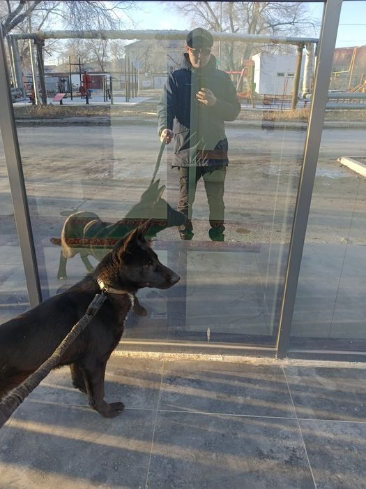 Продается вольер с ВЕО