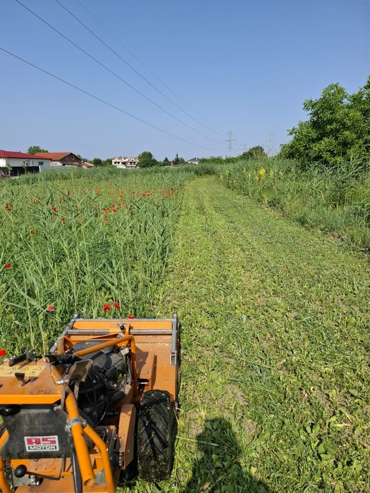 Косене на трева и почистване на затревени терени и соларни паркове