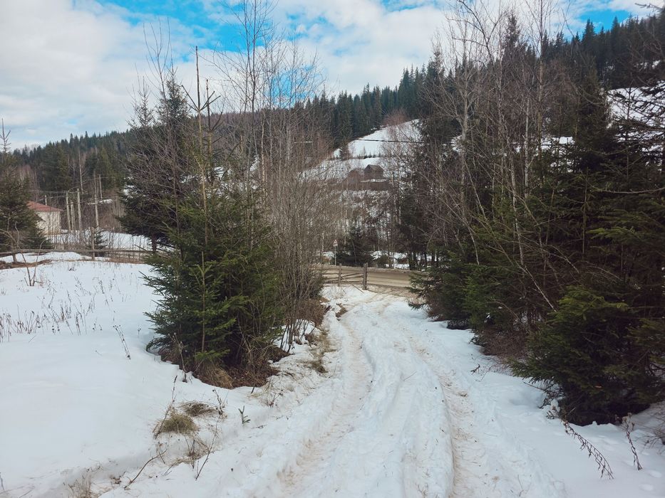 Teren intravilan 1,5 ha (15.000 mp) langa Parcul Calimani. 8,5€/mp