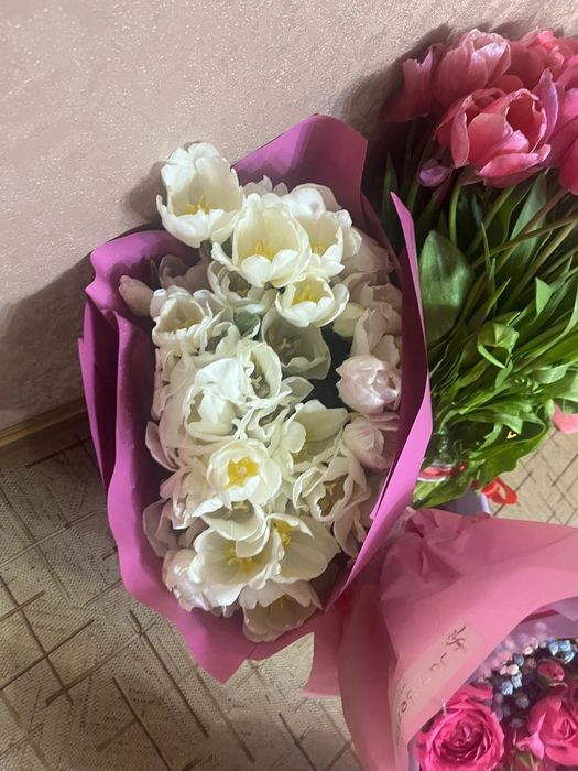 Срочно продам дёшево цветы