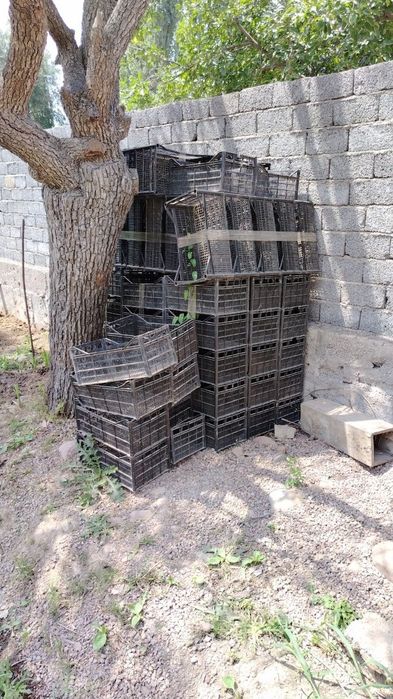 Пластиковые ящик