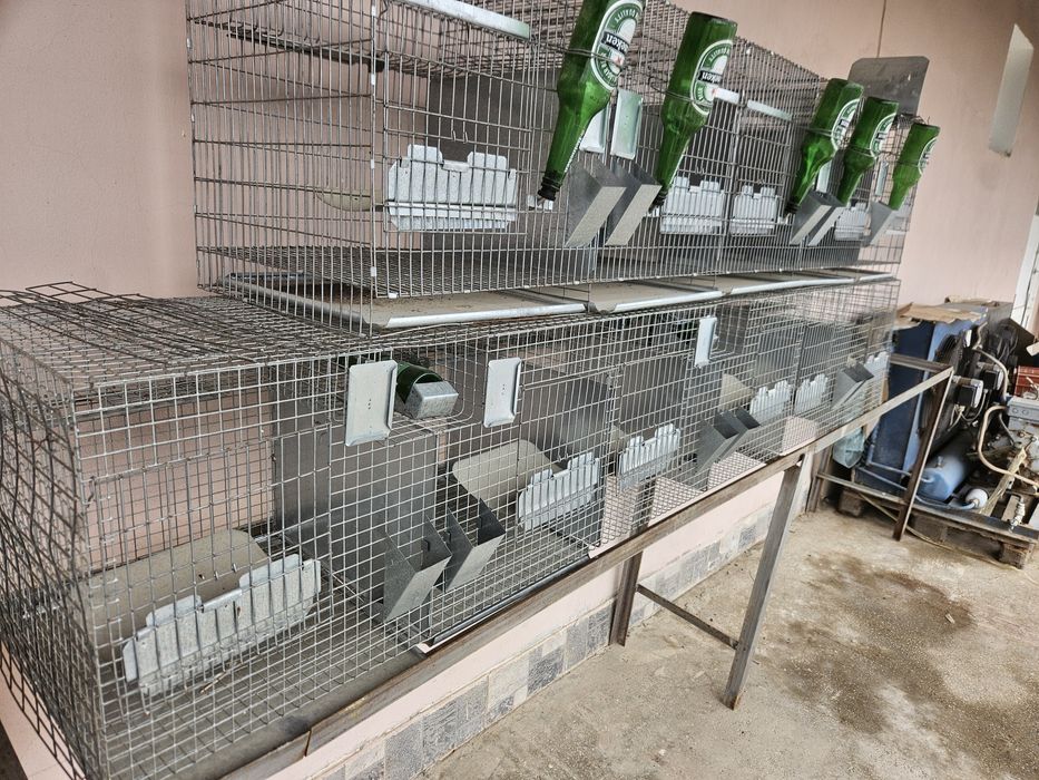 Cusca  pentru iepuri