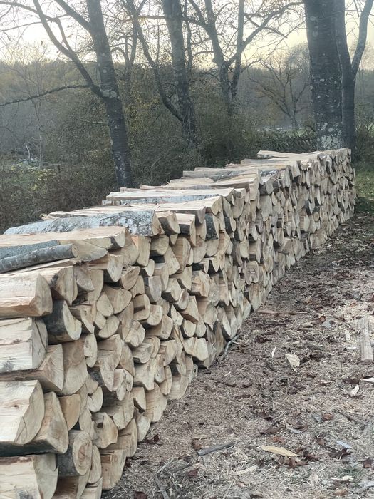 ‼️SC‼️Depozit autorizat comercializăm lemne de foc esențe tarii‼️