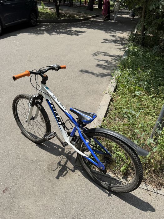 Велосипед Giant XTC Jr 24