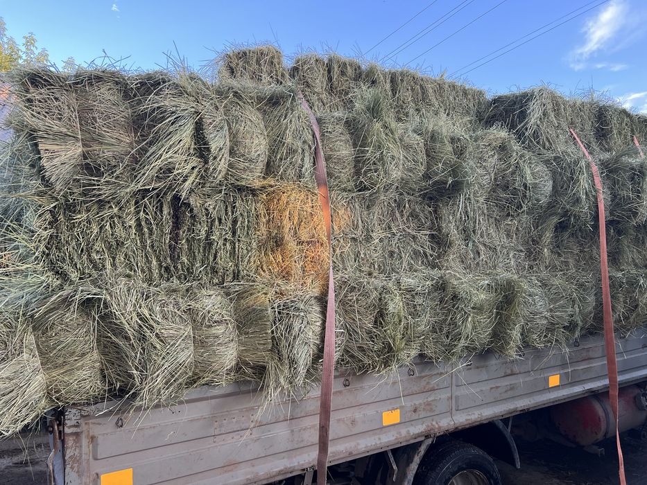Продам Свежее Сено в Тюках