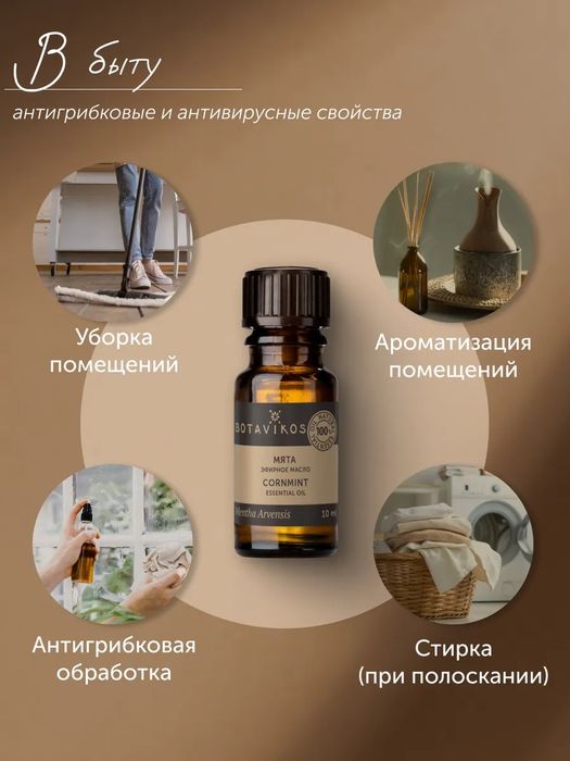 Эфирное масло мяты