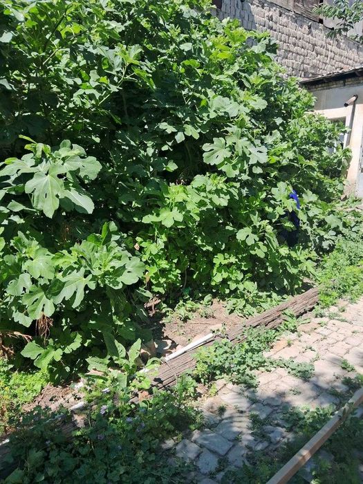 №3945.Продается Дом.