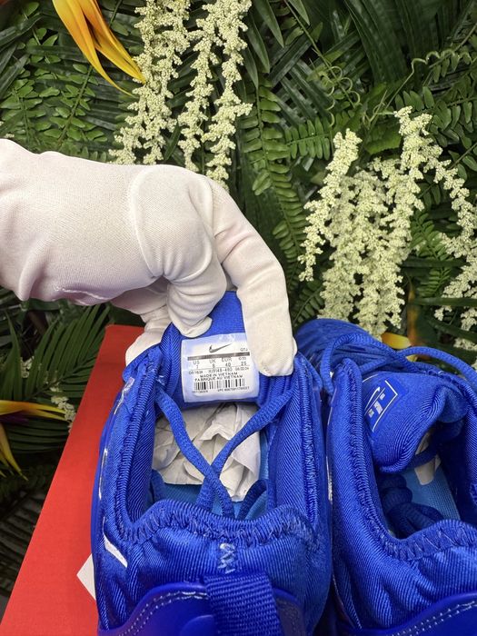 Nike Vapor Max Plus Blue