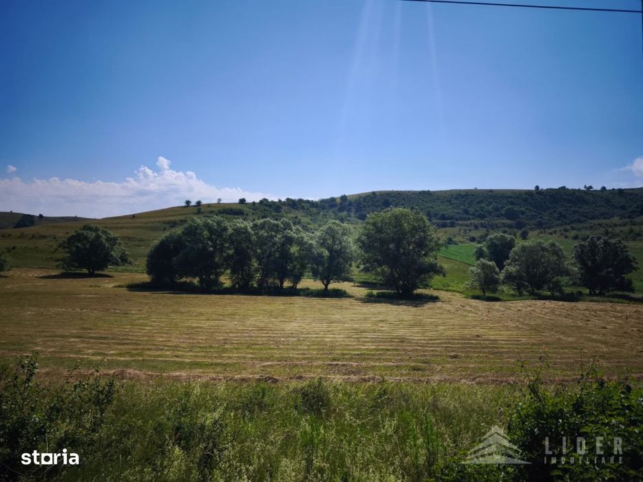 Teren 4501 mp intravilan Chinteni, Le1 | 15 min Cluj-Napoca
