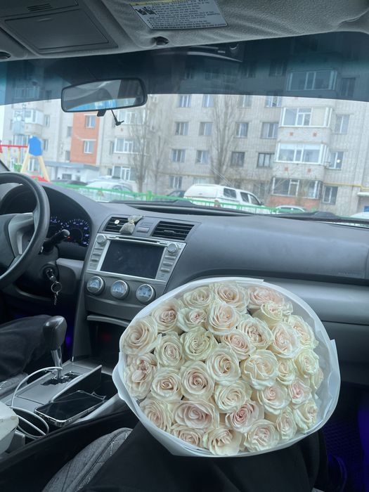 Роза 32 шт свежий