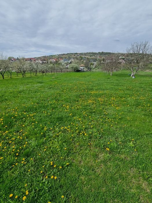 Vand teren Intravilan Tomesti Chicerea. 2 parcele utilitati in zona